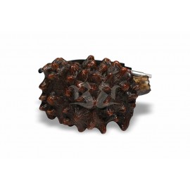 Cachimbo Bertoldi Maestro Longo Briar com Filtro Permanente